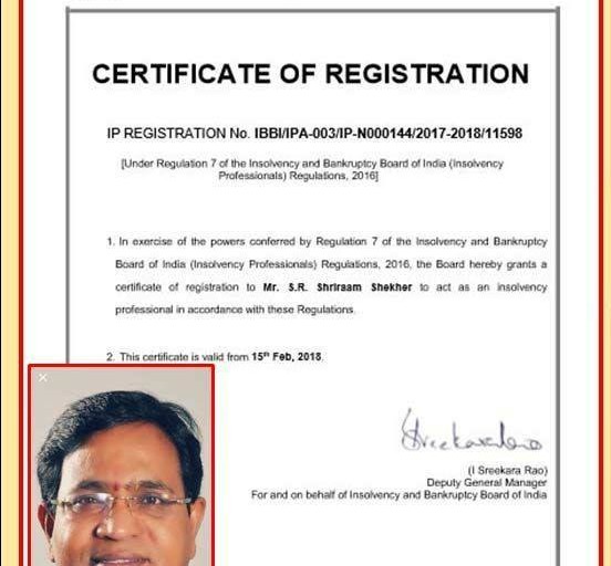Insolvency Professional